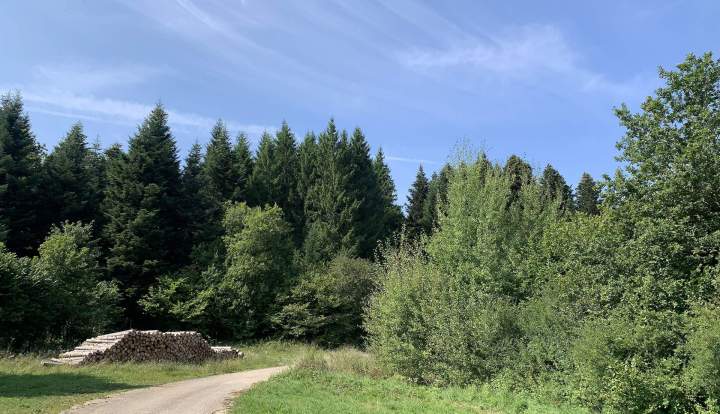 Une endroit unique pour les soin tibétain à Bolandoz