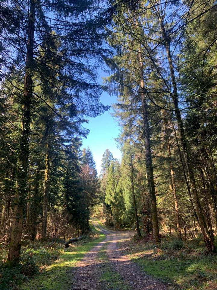 Pratique énergétique à Bolandoz