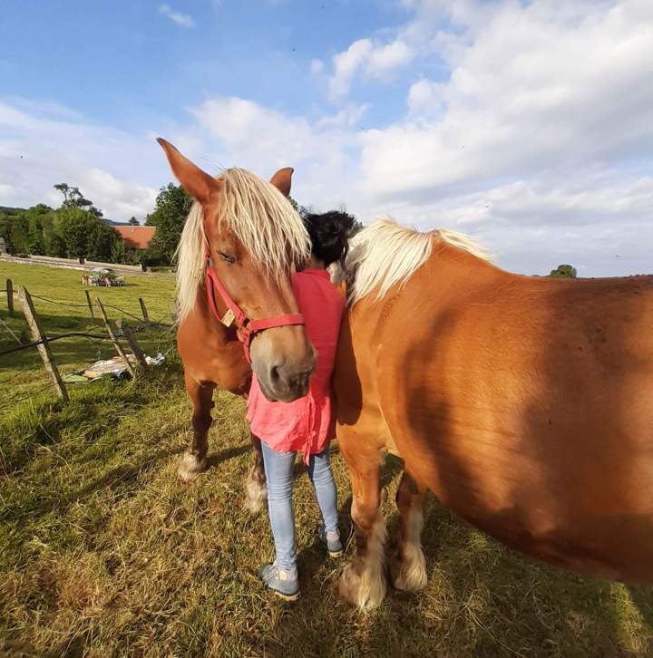 Séance énergétique à Bolandoz
