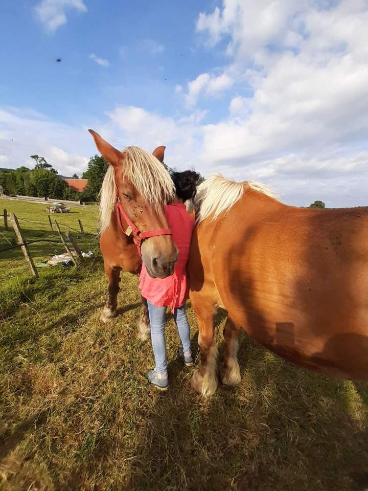 Séance énergétique à Bolandoz