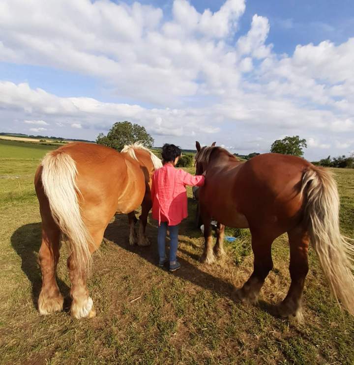 Soins énergétiques à Bolandoz