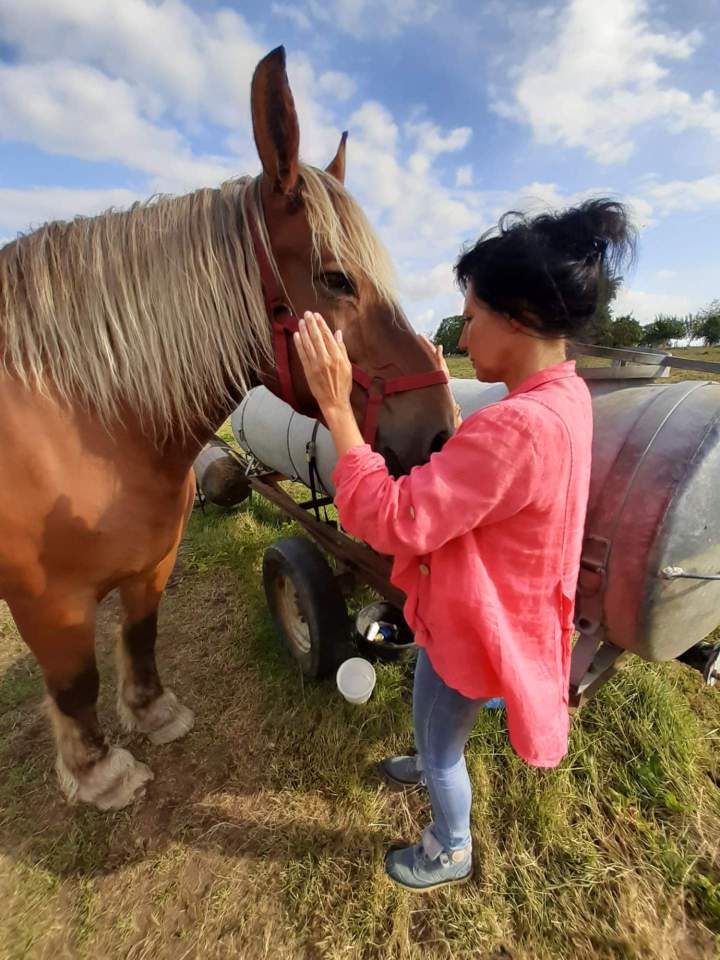 quilibrage énergétique à Bolandoz