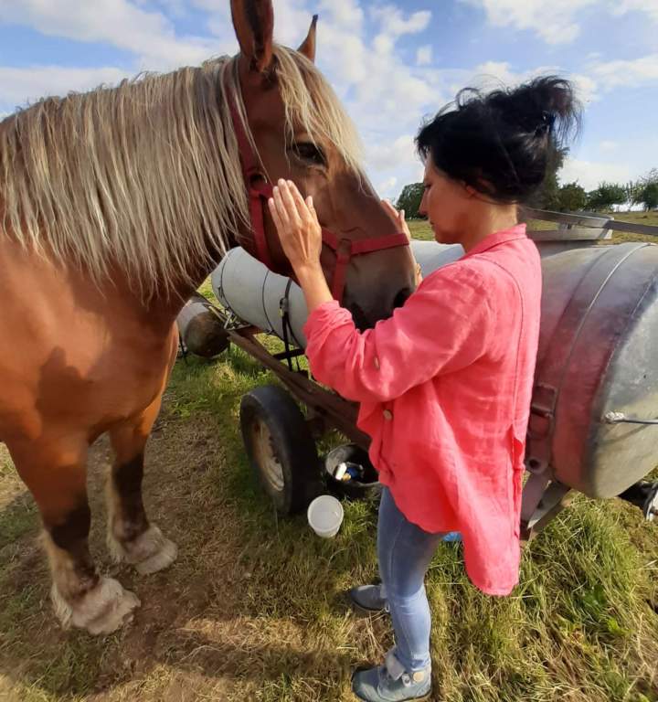 quilibrage énergétique à Bolandoz